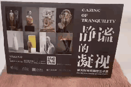 公教活动 | 你想知道的“静谧的凝视”的活动都在这里 视频资讯 武汉美术馆 崇真艺客